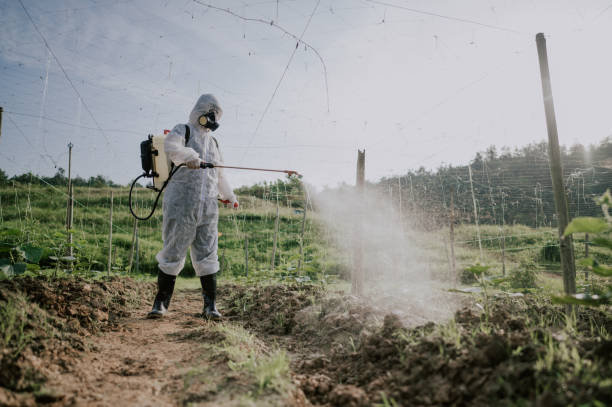 Best Pest Control for Homes  in Blaine, TN