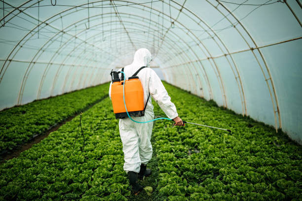 Best Local Pest Control Services  in Blaine, TN