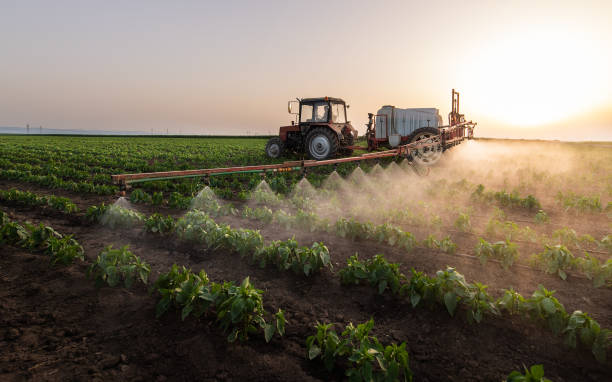 Best Pest Removal Services  in Blaine, TN